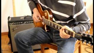 Twin Reverb 65 custom 15  Mark Knopfler licks [upl. by Aleahc853]