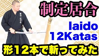 【制定居合】形12本を日本刀を使って斬りに挑戦  Iaido 12 katas  Slashing with a Samurai sword [upl. by Ylrad]