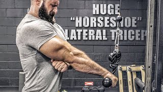 5 “Horseshoe” Tricep Exercises YOU’RE MISSING THESE [upl. by Yrrah]