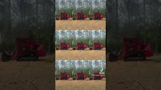 Lamtrac 6160 eating pine tree google mulching trending youtubeshorts tree landclearing fjb [upl. by Yedok]