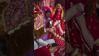 Rajputi wedding  youtubeshort love baisaculture wedding rajputbaisa trending wha [upl. by Mulford]