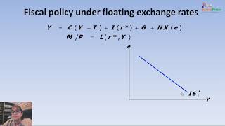 The Mundell Fleming model [upl. by Faxon]