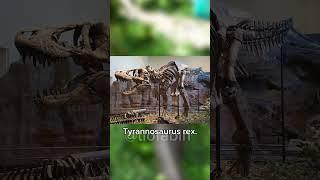 O Tiranossauro do ARK não é um Tiranossauro Rex shorts ark ascended evolved dinossauro [upl. by Arimat]