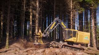 Tigercat LX870D Feller Bunchers in Washington [upl. by Aicnetroh]