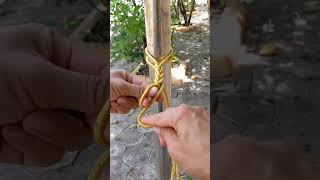 Incredible rope knot Very Effective and Easy Releasing knots shorts [upl. by Beaudoin]