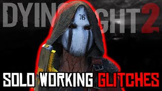 Dying Light 2 Working Solo Glitches Patch 118 [upl. by Christenson963]