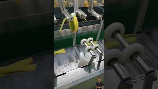 mango peeling machine shorts mango processing [upl. by Nediarb]