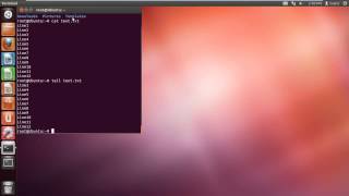 How to Use Unix Tail Command [upl. by Azzil528]