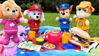 बच्चों के लिए बेस्ट टॉय लर्निंग वीडियो  Paw Patrol Snuggle Pup Picnic [upl. by Adnolehs]