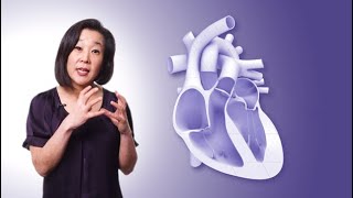 What is atrial fibrillation and how is it treated [upl. by Anale]