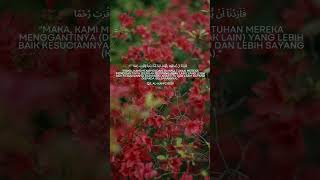 QS Al  Kahfi ayat 81 allah alquran allahuakbar murottalquran murottalquranmerdu islam [upl. by Brita936]