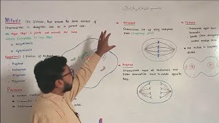 Mitosis  Prophase  Metaphase  Anaphase  Telophase  FScBiology [upl. by Halehs152]