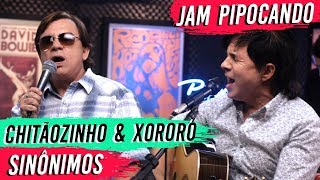 Sinônimos  Chitãozinho e Xororó  AO VIVO 🎤 🎵 [upl. by Wiltshire]