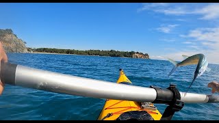 Deniz Kayağı ile Phaselis Üç Adalar Denemesi Zargana balığı ile Çarpıştık [upl. by Lorena]