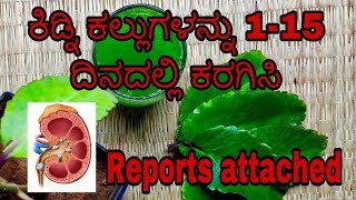 ಕಿಡ್ನಿ ಕಲ್ಲುಗಳನ್ನು 115 ದಿನದಲ್ಲಿ ಕರಗಿಸಿ dissolve kidney stone naturally with reports Kannada [upl. by Darb]