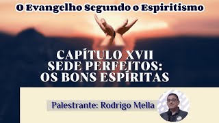 Os Bons Espíritas  Cap XVII Item 4 O Evangelho Segundo o Espiritismo Palestrante Rodrigo Mella [upl. by Schram]