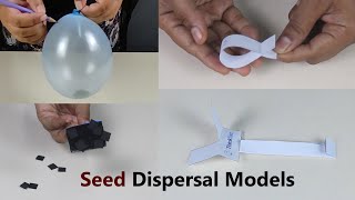 Seed Dispersal Models  ThinkTac  DIY Science [upl. by Kellsie]