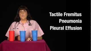 Tactile Fremitus Cups Demonstration [upl. by Aznarepse859]