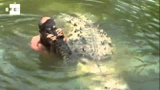 Famoso crocodilo domesticado da Costa Rica morre aos 50 anos [upl. by Rehpotsihc]