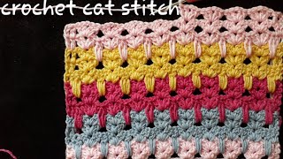 Crochet Cat Stitch Pattern for Baby Blanket  Step by Step Tutorial [upl. by Belsky]