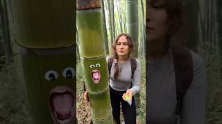 Human quarrel with bamboo🤣 shortvideo [upl. by Let294]