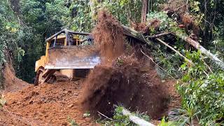 Extraordinary Process of Opening a Forest Road by Cutting a Hill Slope Using a D6R XL Dozer [upl. by Hardin]