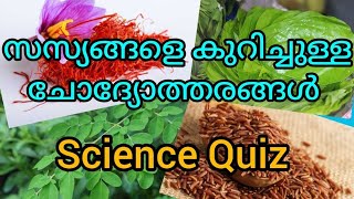 സസ്യങ്ങളെകുറിച്ചുള്ള ചോദ്യോത്തരങ്ങൾ  Science Quiz Malayalam  സസ്യലോകം ക്വിസ്  Gk About Plants [upl. by Yalhsa93]