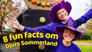 8 facts om sæson 2024 i Djurs Sommerland [upl. by Neeloc]