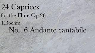 TBöhm24 Caprices For FLUTE No16 Andante cantabile [upl. by Fabe]