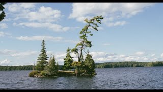 Algonquin 2024  McIntosh Lake Loop [upl. by Hurff86]