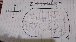 Zoogeographical Regions and how they are separated from each other Palaearctic being largest region [upl. by Kosse]