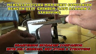 Bagaimana Mengasah Pisau Morakniv  How to Sharpen Morakniv Companion [upl. by Irroc]