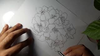 How to draw Rhododendrons Gazania flower [upl. by Tabbi]