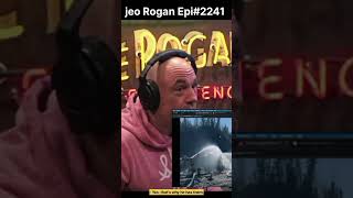 Joe Rogan Experience 2241  Rick Strassman [upl. by Ainnet]