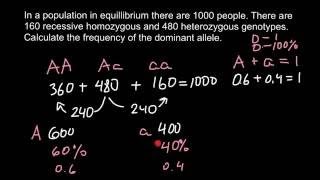 How to calculate allele frequency [upl. by Tnecnev299]