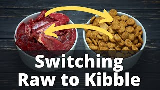 Switching Raw to Kibble Dog Food the Right Way [upl. by Laeahcim]