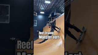 Reef Orlando Sketchy Drop Vert Monster  Skateboards Vertical  shorts short sports skate [upl. by Amity]