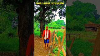 bhojpuri song dj davidpahariyaentertainment ♥️vrlshorts bhojpuri reels 🤟🤟 [upl. by Fisa]