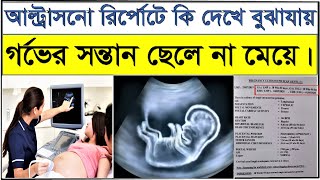 How to know baby boy or girl in Ultrasound reportআল্ট্রাসনো রিপোর্ট বলে দিবে সন্তান ছেলে না মেয়ে [upl. by Urdna]