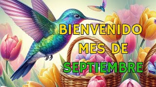 🌟 ¡Bienvenido Septiembre ABRELO Bonito Mensaje Frases y Deseos para Empezar el Mes 💫 [upl. by Ahsaek]