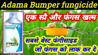 adama bumper fungicidePropiconazole25� bumper fungicide price dose work result hukeshpradhan [upl. by Ettesil934]