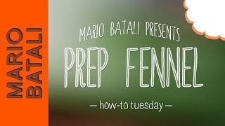 Mario Batali HowTo Tuesday Prep Fennel [upl. by Quickel]