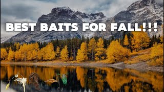 🍂🍁Top 5 PROVEN BAITS For BASS In FallWinter 🍁🍂 [upl. by Karli106]