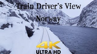 TRAIN DRIVERS VIEW Bergen  Myrdal on a windy Saturday in 4K UltraHD [upl. by Enitsyrk567]