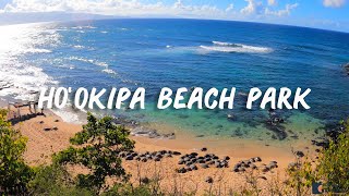 Ho’okipa Beach Park is the Best Place to See Turtles in northern Maui [upl. by Fantasia]