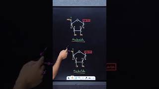 Structure of DNA amp RNA  Biomolecules  Class 12 Chemistry [upl. by Reffinnej]