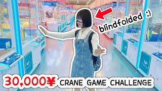 30000 YEN CRANE GAME CHALLENGE in Japan [upl. by Gnoy]