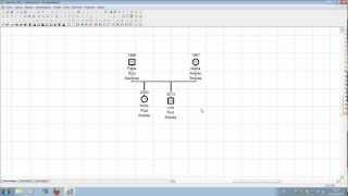 Com fer canvis en un genograma anterior [upl. by Constancy504]
