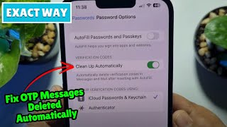 Fix OTP Messages Deleted Automatically on iPhone after iOS 18 Update [upl. by Leunamesoj]