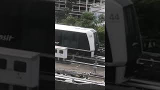 SBS Transit Sengkang LRT Train Day 202 Part 1 44 [upl. by Zollie898]